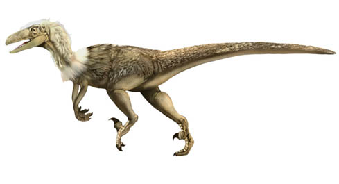 Karen_Carr_Royal_Tyrrell_velociraptor_detail.jpg