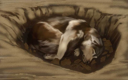 dog burial