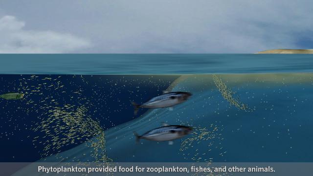 Smithsonian Sea Monsters Unearthed! What Happens When an Ocean is Formed?