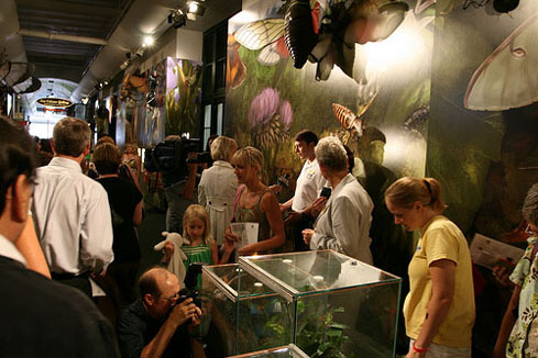 Audubon Insectarium Grand Opening by Karen Carr