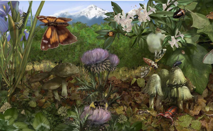 Audubon Insectarium Wall 4 detail 4 by Karen Carr