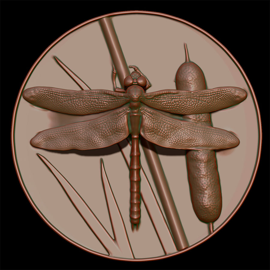 Interpretive Insights Bronze Medallions: Dragonfly by Karen Carr