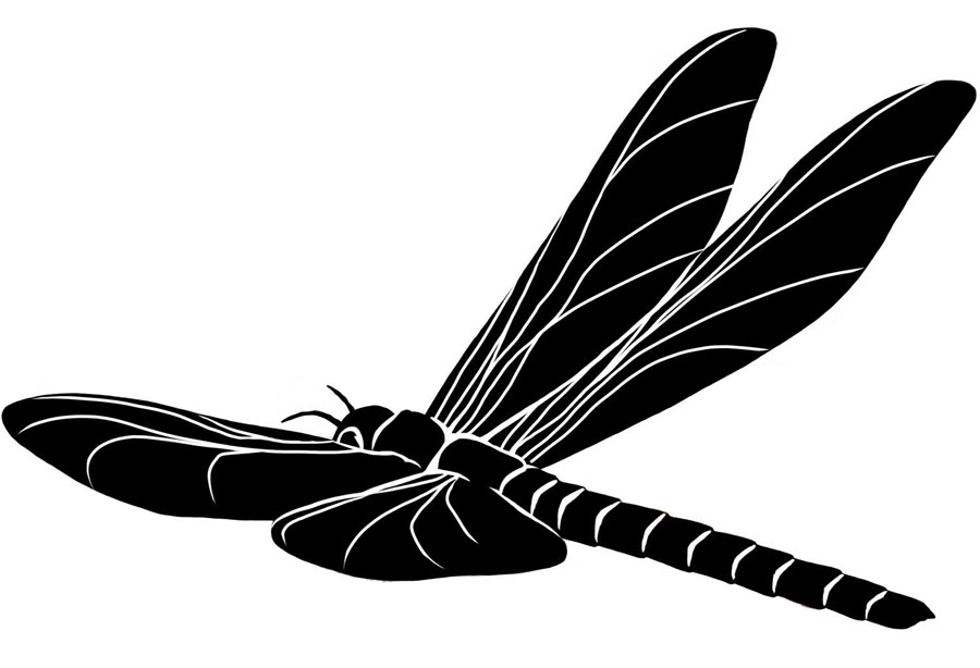 Meganeuropsis silhouette by Karen Carr