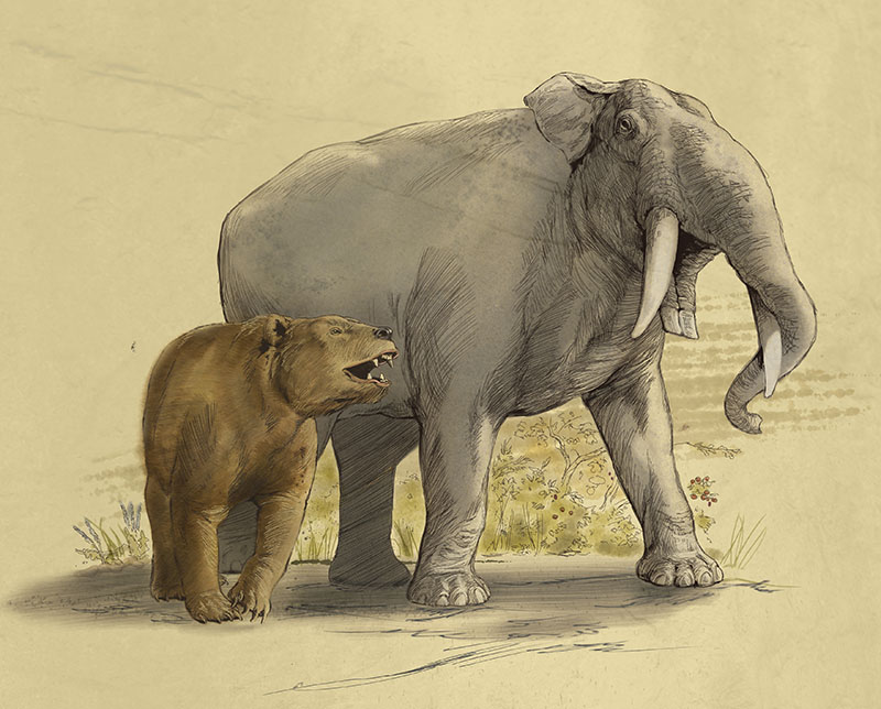 York County Gomphothere and Short-Faced Bear by Karen Carr
