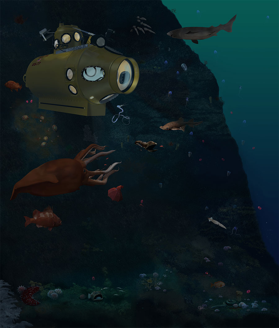 Deep-Sea Mural by Karen Carr