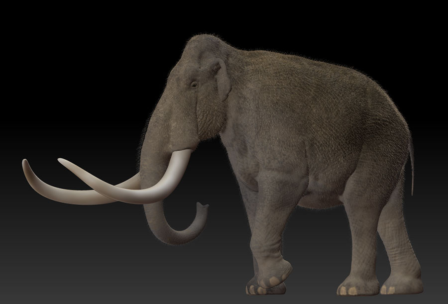 Columbian Mammoth 3D modeled character development by Karen Carr