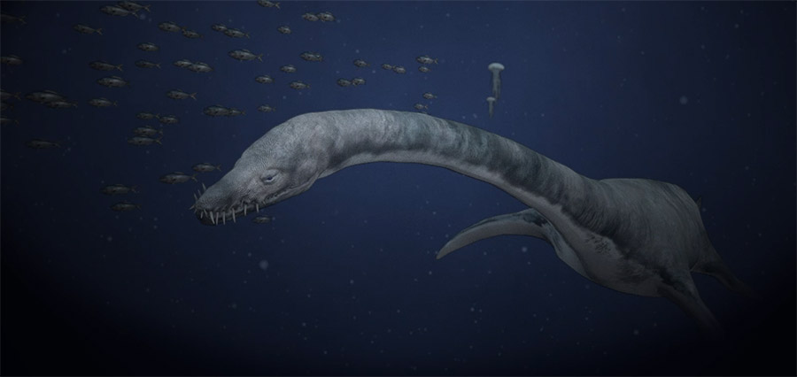 Smithsonian Sea Monsters Unearthed! Cardiocorax by Karen Carr