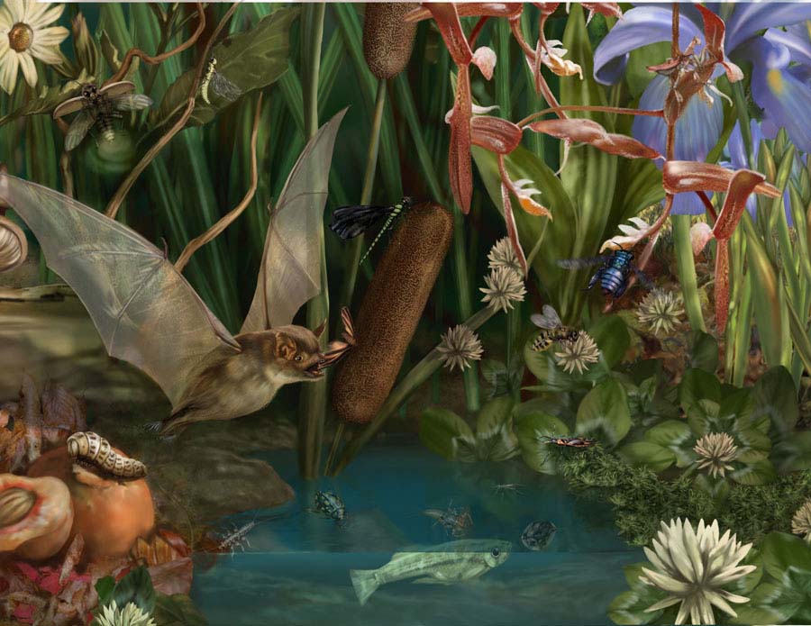 Audubon Insectarium Wall 4 detail 3 by Karen Carr