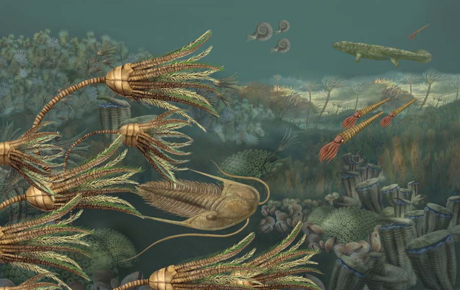 Audubon Insectarium Ancient Seas Mural by Karen Carr