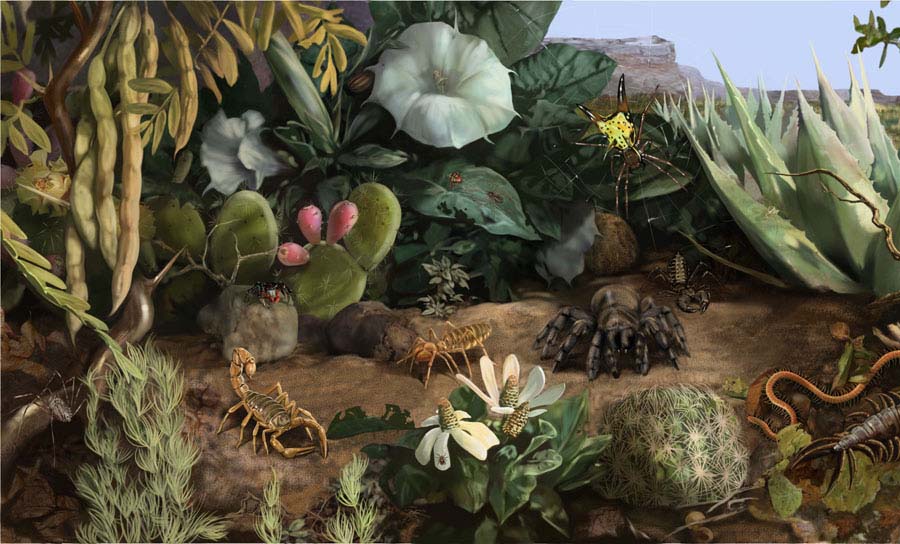 Audubon Insectarium Wall 3 detail 1 by Karen Carr