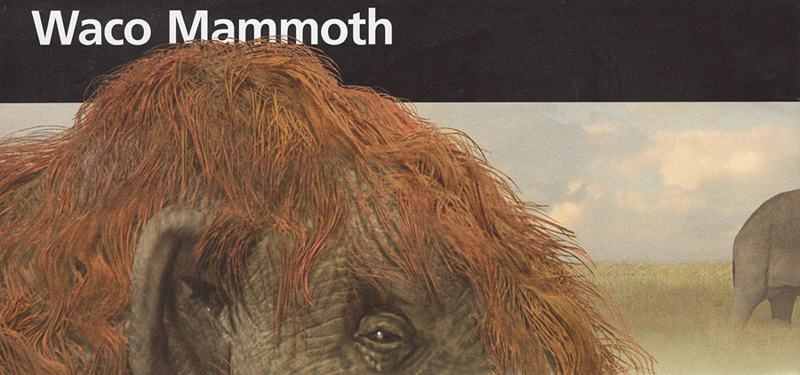 Waco Mammoth National Monument brochure by Karen Carr