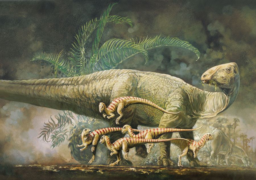 Lone Star Dinosaurs book cover by Karen Carr