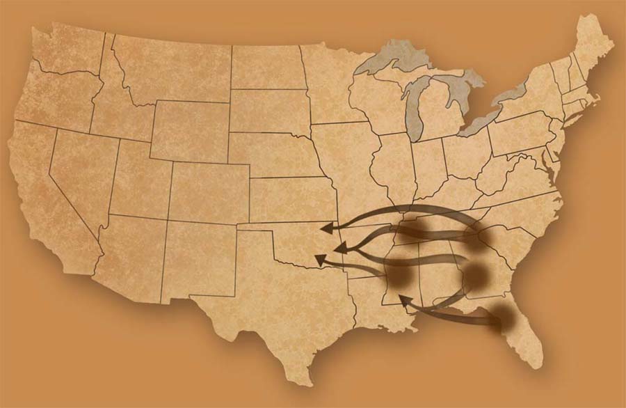 Native American Migration Map by Karen Carr