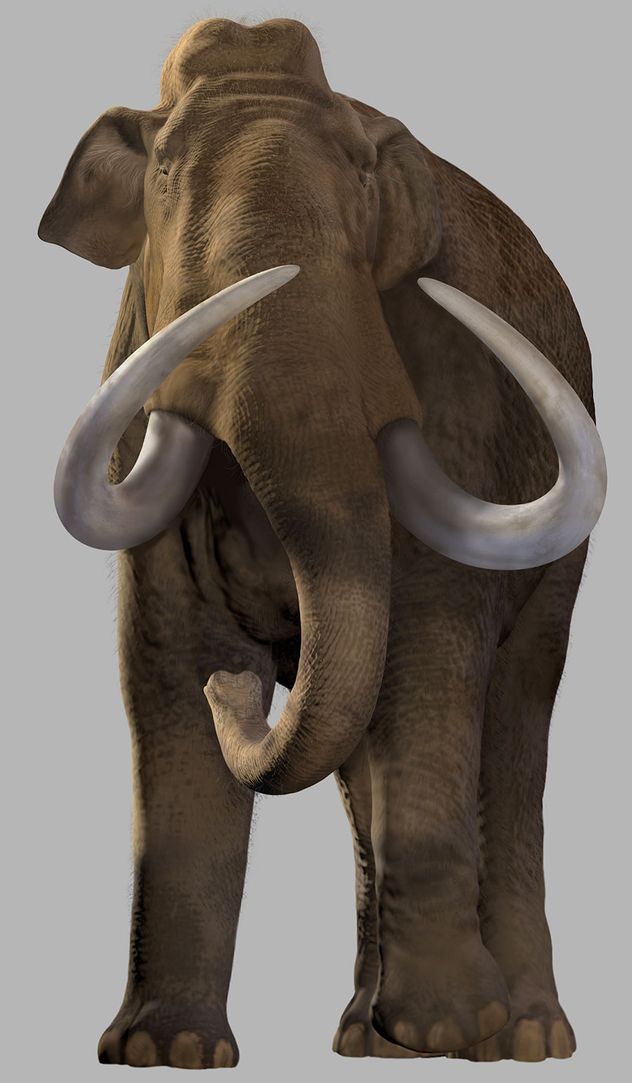 Mammoth detail, White Sands Pleistocene Environment by Karen Carr