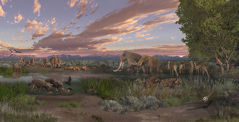 White Sands Pleistocene Environment by Karen Carr