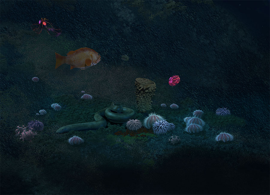 Deep-Sea Mural, hagfish and deep-sea creatures by Karen Carr