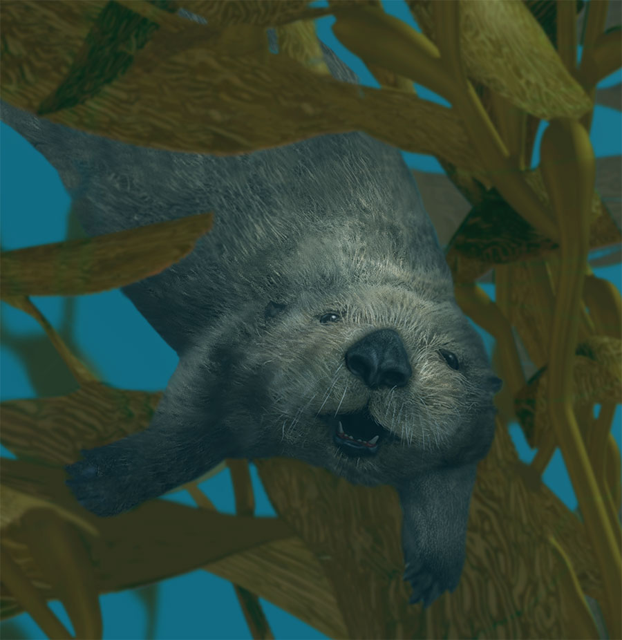 Kelp Forest Mural, California sea otter detail by Karen Carr